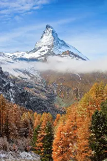 Matterhorn: Matterhorn and larch, Valais, Switzerland, Europe