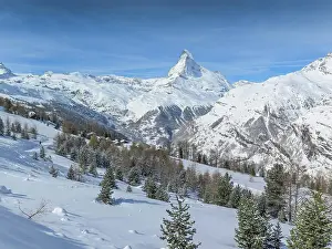 Matterhorn: Matterhorn, Sunnegga Alm, Valais, Switzerland, Europe