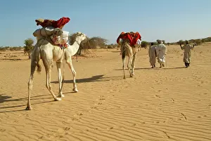 Caravan: Mauritania, Adrar, Amatlich, caravan