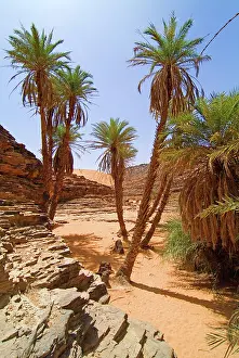 Mystery: Mauritania, Adrar, Terjit oasis, Vertical
