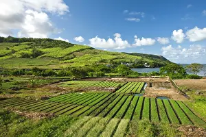 Mauritius: Mauritius, Southern Mauritius, Bambous Virieux