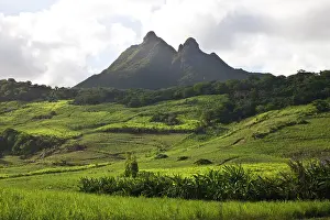 Mauritius: Mauritius, Southern Mauritius, Bambous Virieux