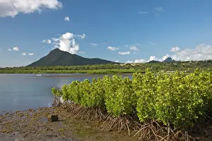 Mauritius: Mauritius, Western Mauritius, Petite Riviere