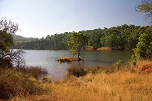 Swaziland: Mbabane, Swaziland. Tranquil scenery in