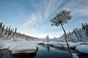 Peter Mather: McIntyre Creek near Whitehorse in winter snow and