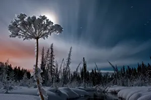 McIntyre Creek near Whitehorse in winter snow and