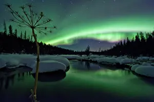 Peter Mather: McIntyre Creek near Whitehorse in winter snow and