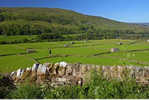 200617: Meadows near Gunnerside, North Yorkshire, England