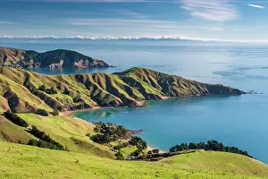 Marlborough: Meadows and rocky coast, Strait French Pass, Marlborough