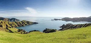Marlborough: Meadows and rocky coast, Strait French Pass, Marlborough
