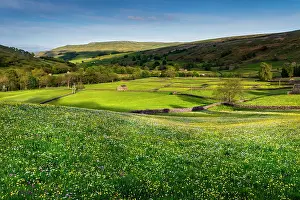 Muker: Meadows - Summer - Muker - Swaledale - Yorkshire Dales - UK