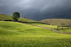 Muker: Meadows - Summer - Muker - Swaledale - Yorkshire Dales - UK