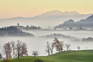 Appenzell: Meadows and trees in autumnal early morning mist