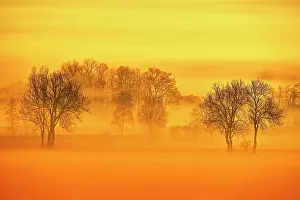 Reusstal: Meadows and trees in early fog, Reusstal, Aristau