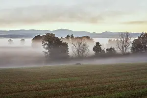 Valleys: Meadows and trees in the early morning mist