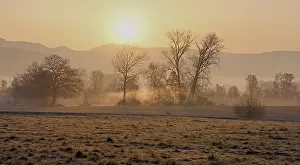 Lights: Meadows and trees in the early morning mist in the light of the rising sun