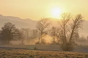 Lights: Meadows and trees in the early morning mist in the light of the rising sun