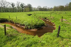 Esdorp: Meander in grassland with fence poles