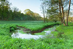 Drentsche: Meander in landscape with trees and grasses on the banks