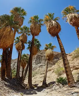 Spitz: Mecca Badlands, California