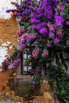 Window: The medieval castle of Obidos, Portugal