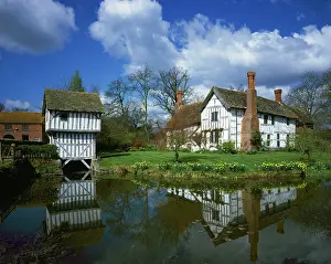 Manor: Medieval Manor House