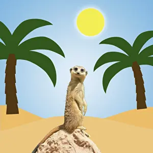 140319: Meerkat on lookout