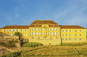 Wine: Meersburg State Winery on Lake Constance, Baden-Warttemberg