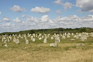 Megalithic: Megalithic alignements du Petit Menec prehistoric