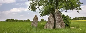 Megalithic: Megalithic Tomb - Dolmen - Weris - Belgium