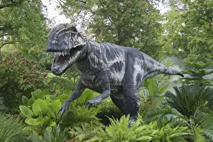 Replica: Megalosaurus