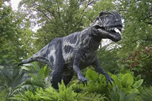 Replica: Megalosaurus