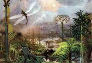 Palaeontology: Meganeura in Upper Carboniferous Landscape
