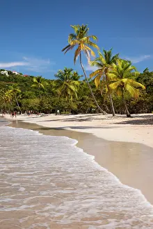 Thomas: Megan's Bay Beach on St. Thomas, US Virgin