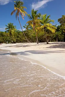 Thomas: Megan's Bay beach, St. Thomas, US Virgin