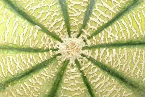Cucumis: Melon