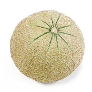 Melons: Melon - in studio