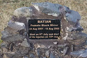 Plaque: Memorial plaque to poached Black rhino Batan, shot
