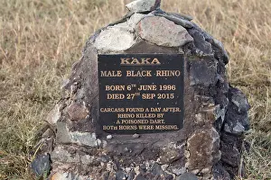 Arrow: Memorial plaque to poached Black rhino Kaka, shot
