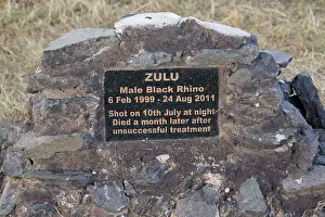 Plaque: Memorial plaque to poached Black rhino, Ol Pejeta