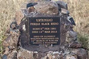 Plaque: Memorial plaque to poached female Black rhino named