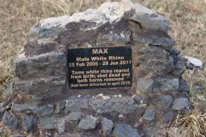 2011: Memorial plaque to poached White rhino named Max