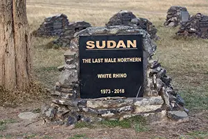 2018: Memorial plaque to Sudan, the last male Northern