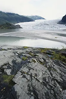 Striations: Mendenhall Glacier