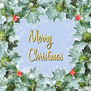 Text: Merry Christmas surround by holly berries and falling snow
