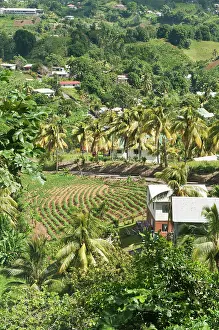 Grenadine: Mesopotamia Valley, St. Vincent and the
