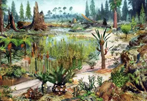 Palaeontology: Mesozoic Landscape