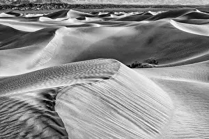 Death: Mesquite Dunes, Death Valley National Park, California