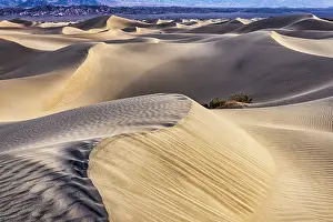 Death: Mesquite Dunes, Death Valley National Park, California
