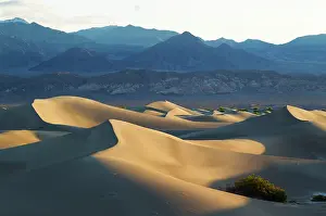 Amargosa: Mesquite Flat Sand Dunes and Amargosa Range in